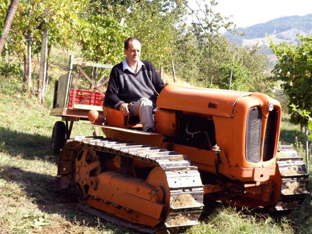 Agriturismo Ca' Isotta Castello di Serravalle ภายนอก รูปภาพ