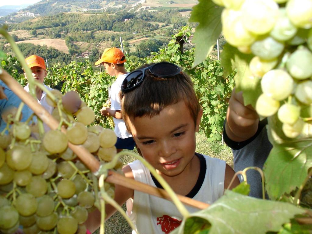 Agriturismo Ca' Isotta Castello di Serravalle ภายนอก รูปภาพ